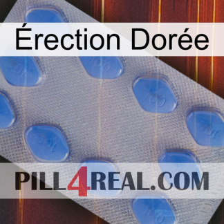 Érection Dorée 21